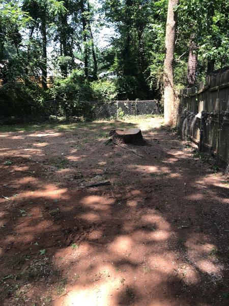 Rocky's Tree Service