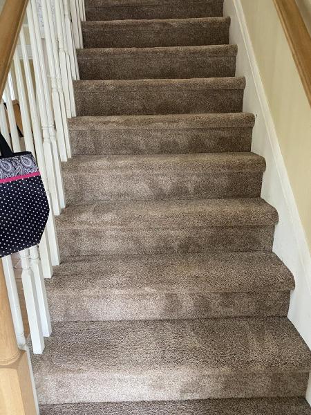 Joe's Carpet & Upholstery Cleaning