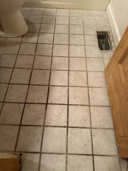 I Clean Carpet and So Much More LLC