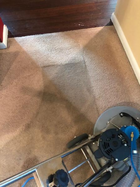I Clean Carpet and So Much More LLC