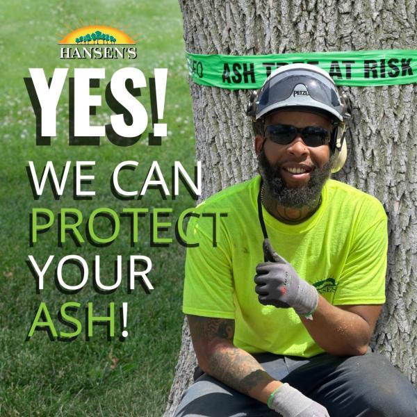 Hansen's Tree Service & Environmental Resources