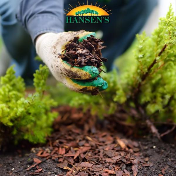 Hansen's Tree Service & Environmental Resources