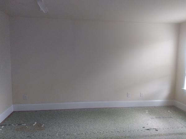Top Notch Painting