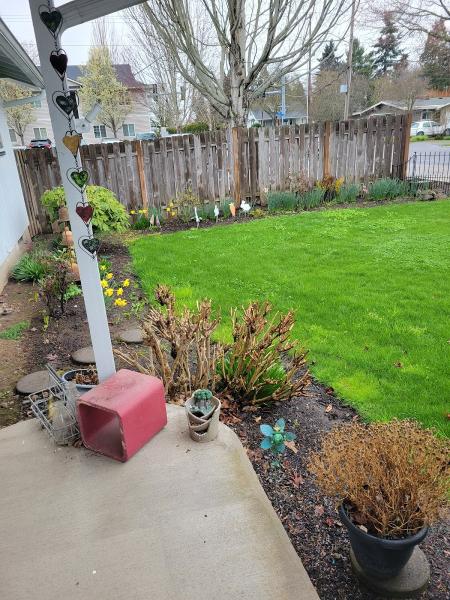 Green Water Yard Services