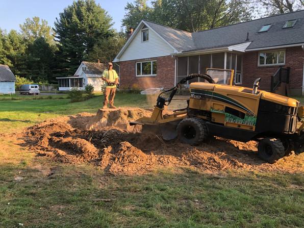 Stump Busters