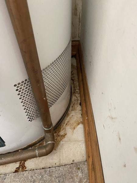 All About Plumbing Inc.