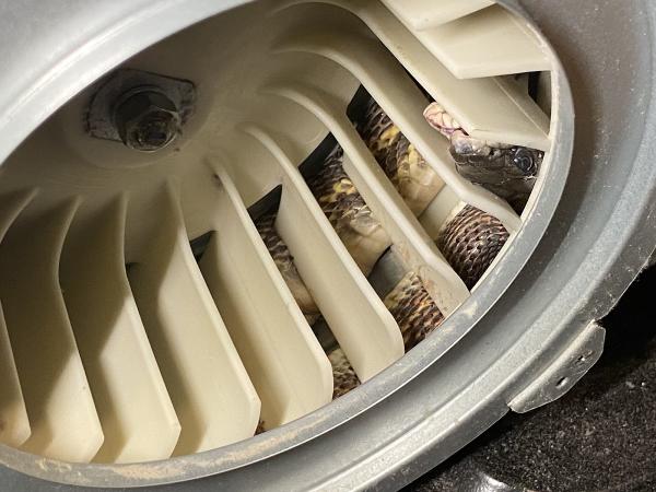 Excellence Appliance Repair