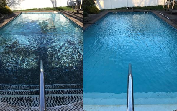 Safe 'N Clear Pools