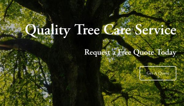 Jims Tree Service
