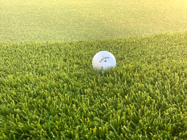 Panjia Turf