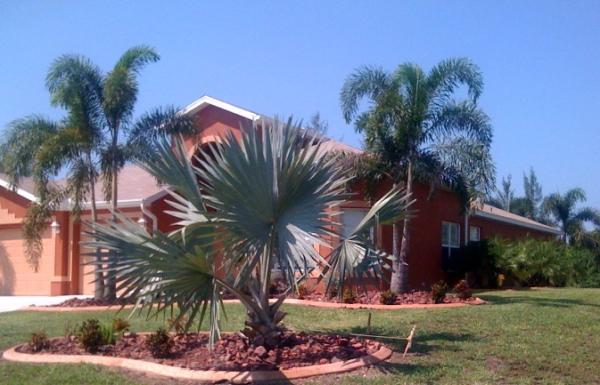 Tony's Lawn and Landscaping