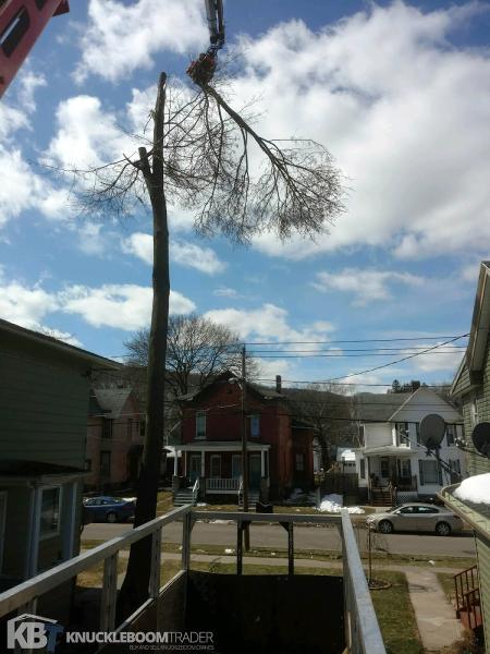 Custom Tree Service Llc.
