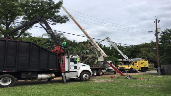Pete and Ron's Tree Service Inc.