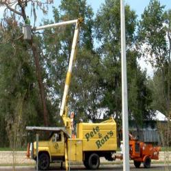 Pete and Ron's Tree Service Inc.