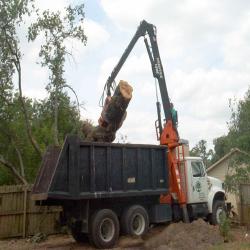 Pete and Ron's Tree Service Inc.