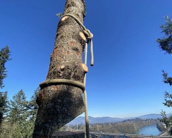 Karhu Tree Service LLC