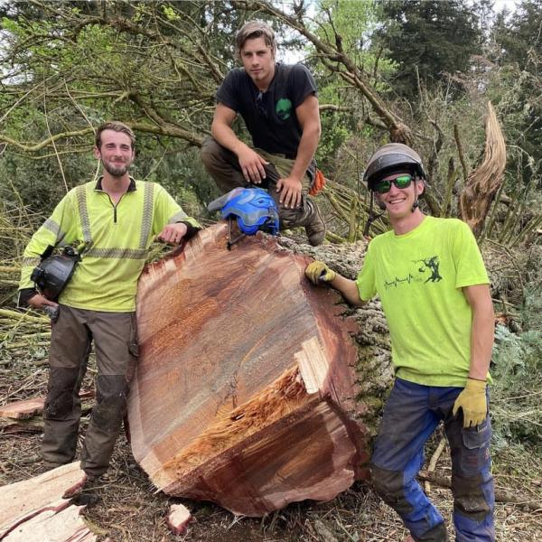 Karhu Tree Service LLC