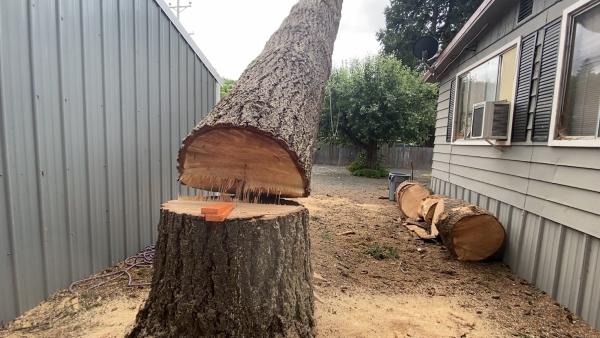 Karhu Tree Service LLC