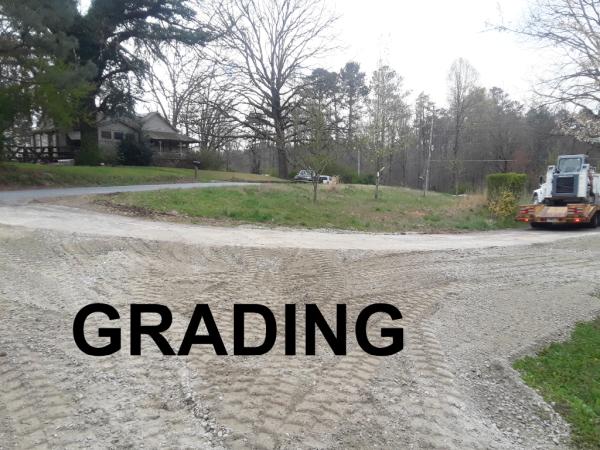 Safe Tree Excavation