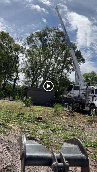 Drummond's Tree Service