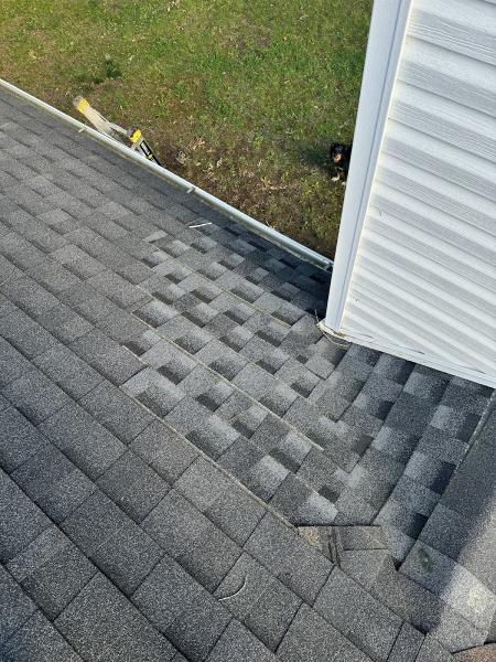 Born To Roof