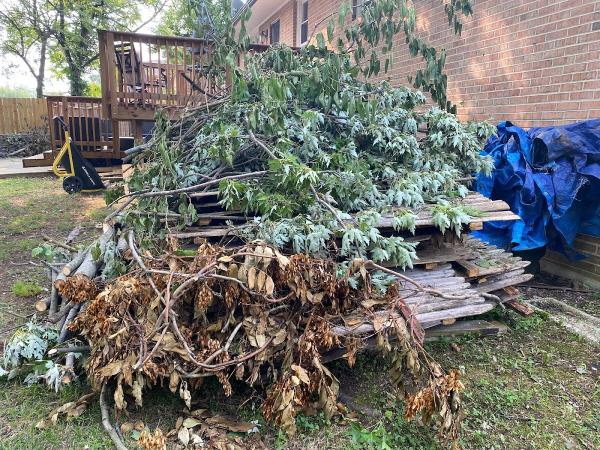 Surearm Junk Removal