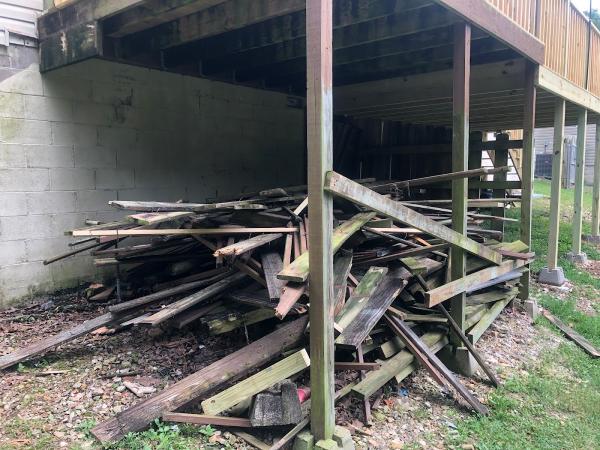 Junk Removal Professionals