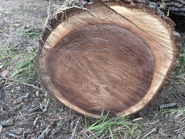 Redhawk Tree Service