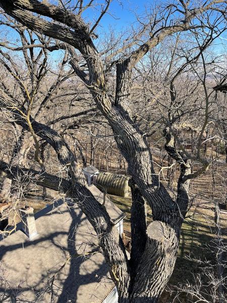 Redhawk Tree Service