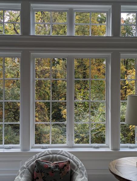 Spotless Window Cleaning & Softwash