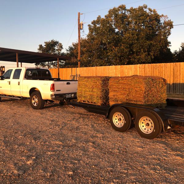Lawn Care