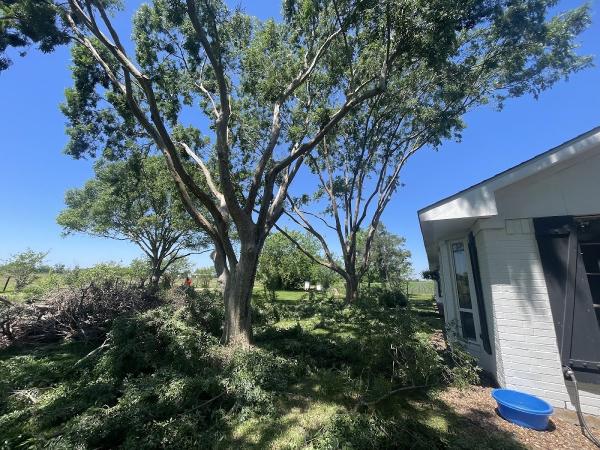 Clear My Land Tree Service