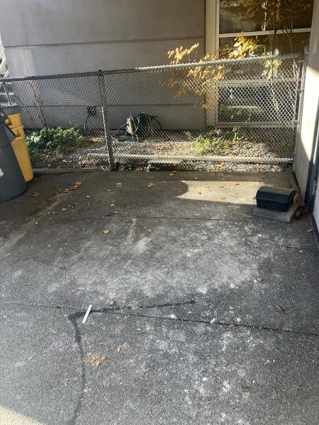 Action Junk Removal Seattle