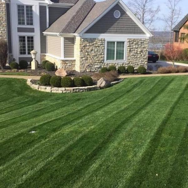 McCollum Landscaping