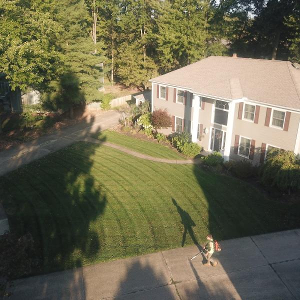 Lawncare For the World