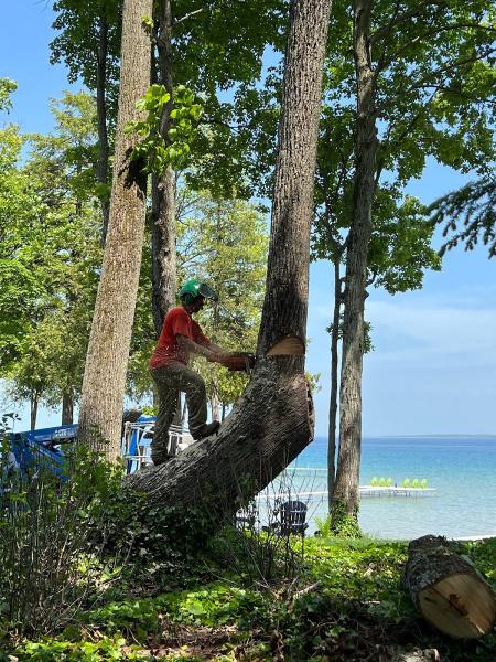 Nickerson Tree Care