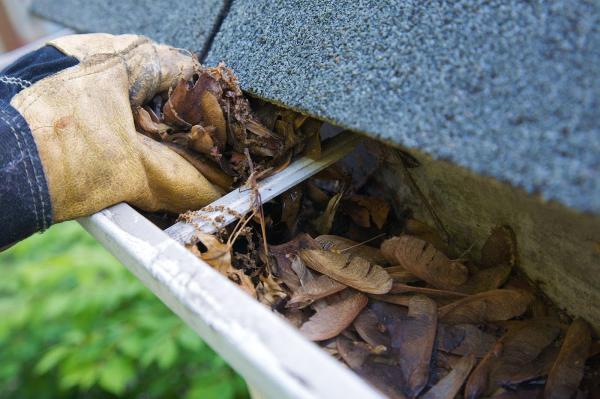 Premier Gutter Services LLC