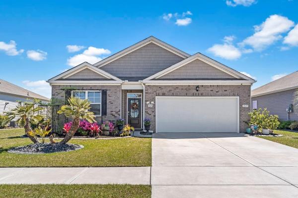 Palms Realty