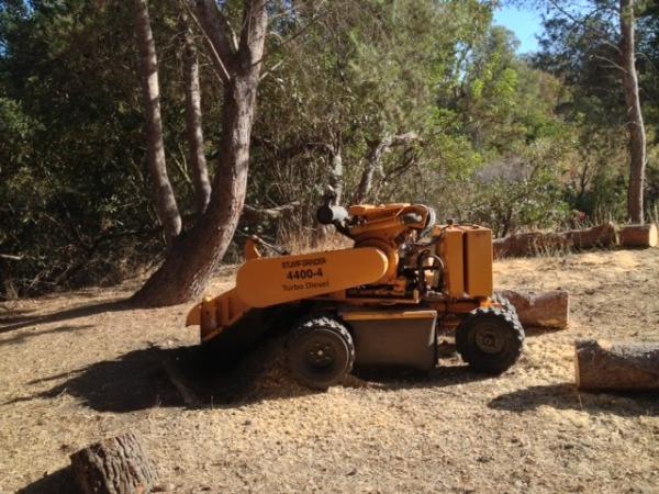 Cunningham's Tree Service