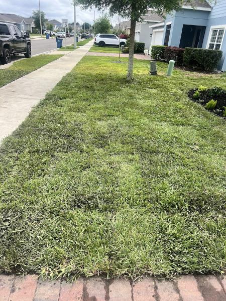 Enchanted Landscaping