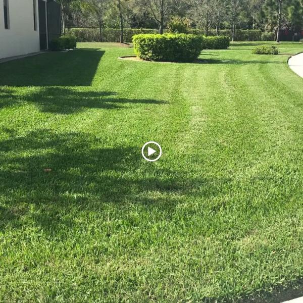 Mendez Landscaping & Brick Pavers