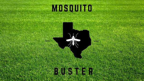 Mosquito Buster