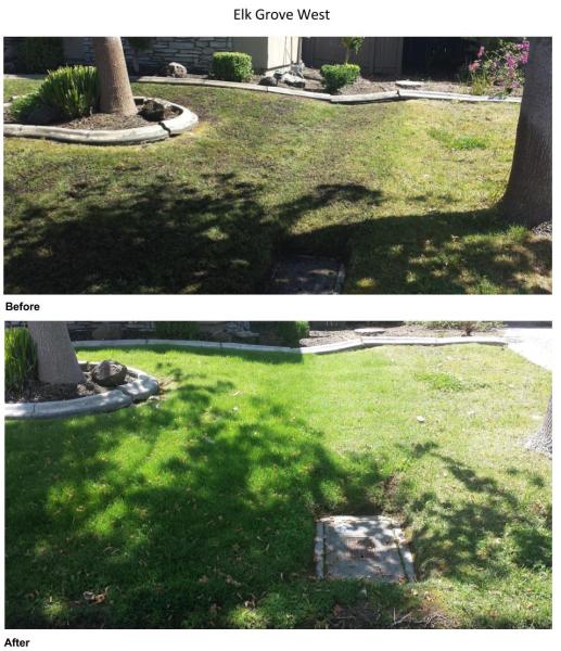 Sierras Lawn Aeration