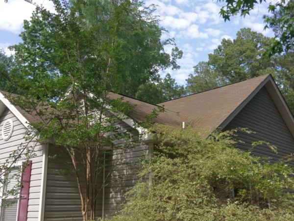 Shingle Clean