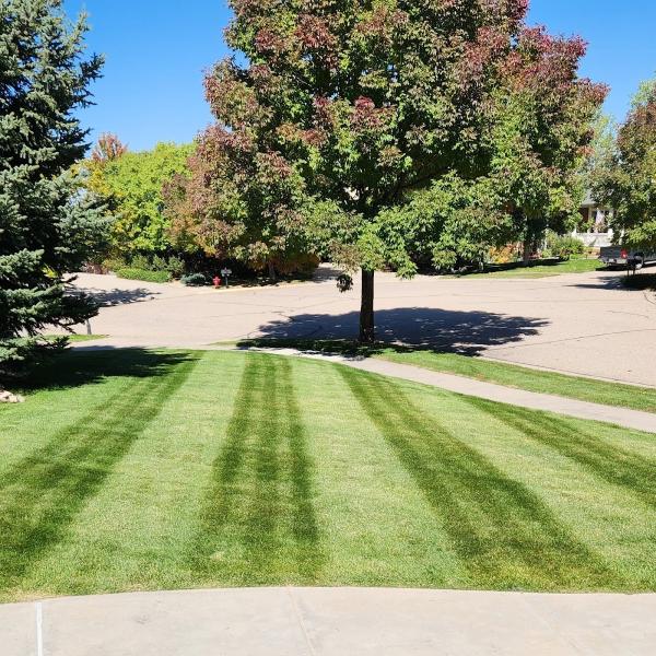 Sam's Lawn Care