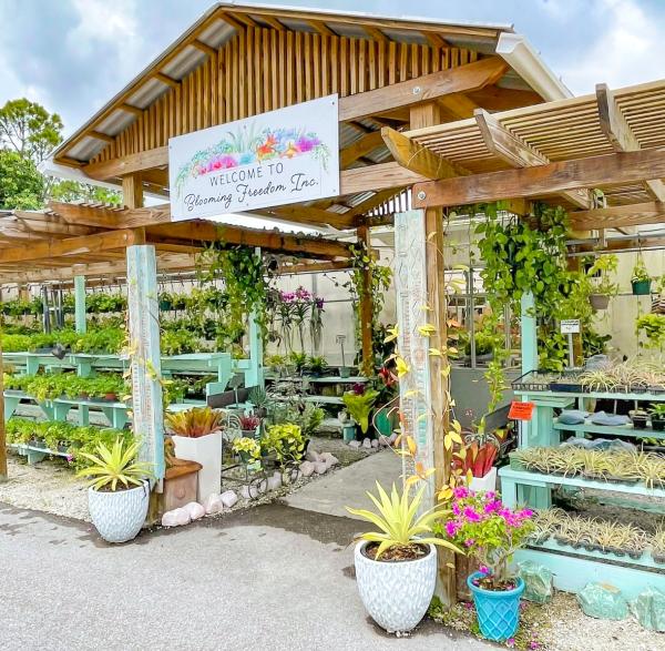 Blooming Freedom Inc