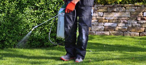 American Pest Control