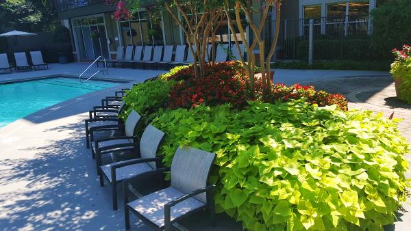 Brooks Landscaping & Lawn Maintenance
