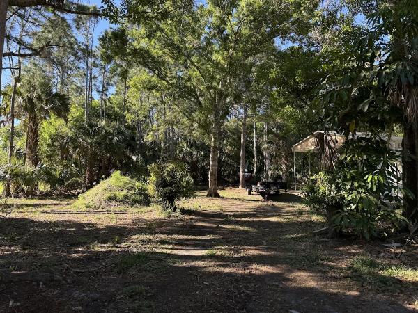 All Florida Land Services