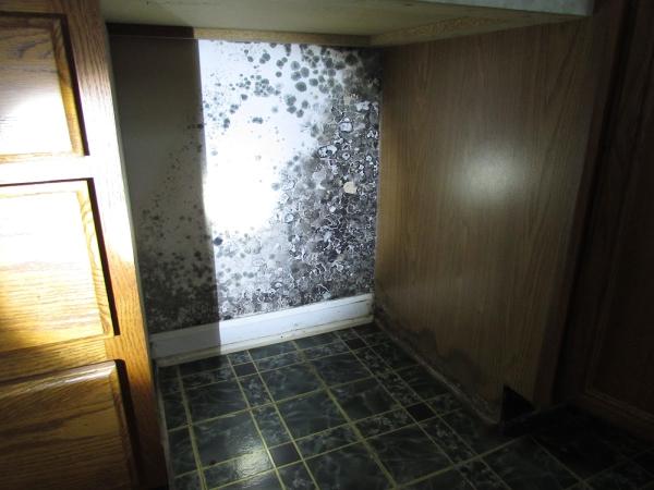 Homeworx Services Inc.